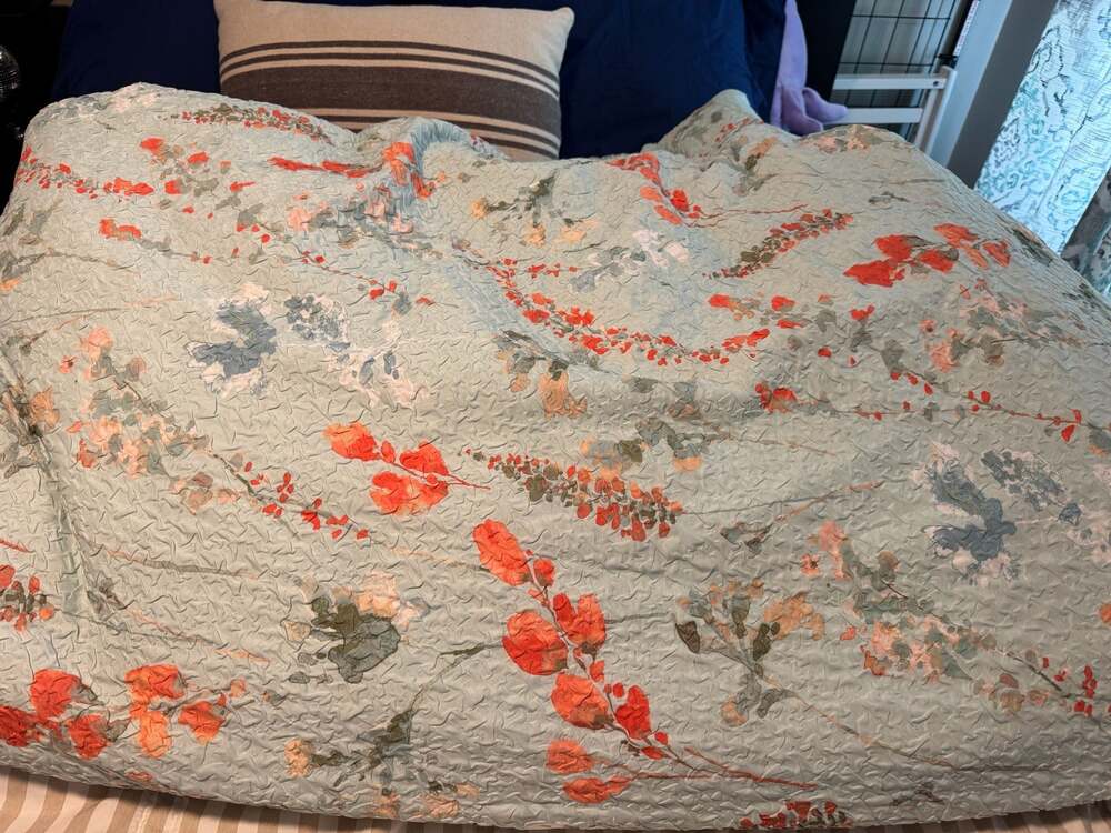 DKNY Live Sleep Dream King Size Floral Comforter